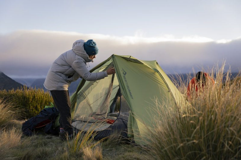New Forest Camping: The Top 5 Campsites