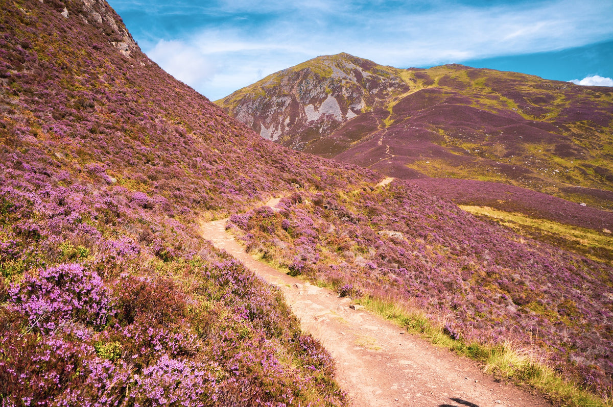 A Guide to the British National Parks