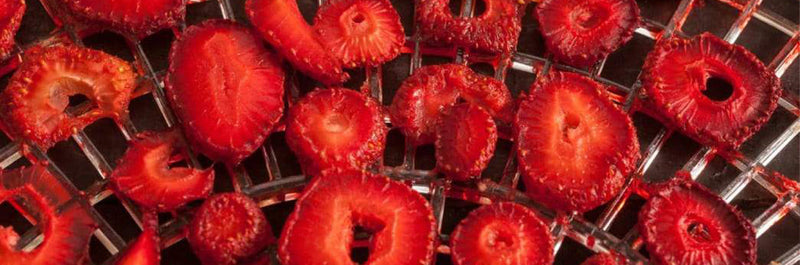 Hit the Trail with Homemade Fruit Leather and Other Dehydrated Snacks